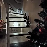 Lapland Winter House *