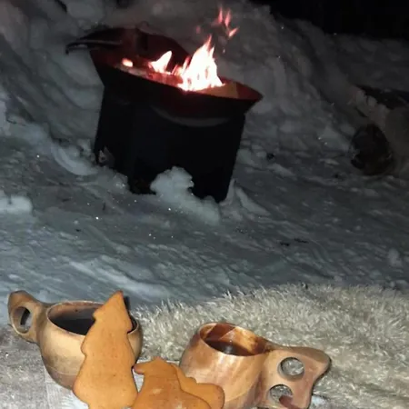 Lapland Winter House * 로바니에미