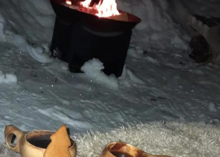 Lapland Winter House * Rovaniemi