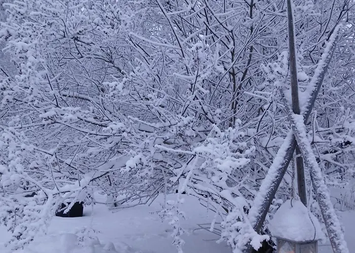 Lapland Winter House Appartement *