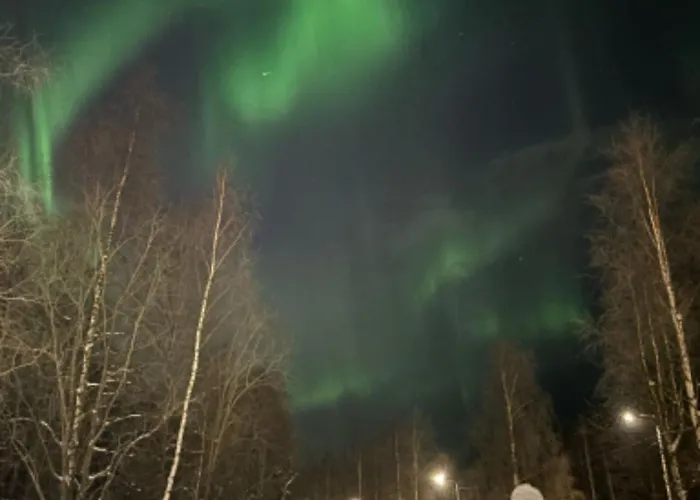 Lapland Winter House Appartement *